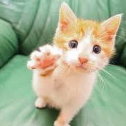 BoyJeruzalem's profile picture. 