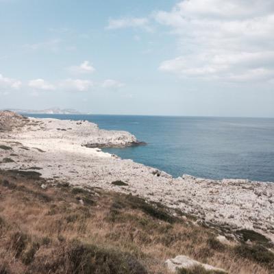 anne_scheunig's profile picture. 