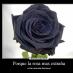 blas de lezo (@blas_fresmo) Twitter profile photo blas de lezo (@blas_fresmo) Twitter profile photo
