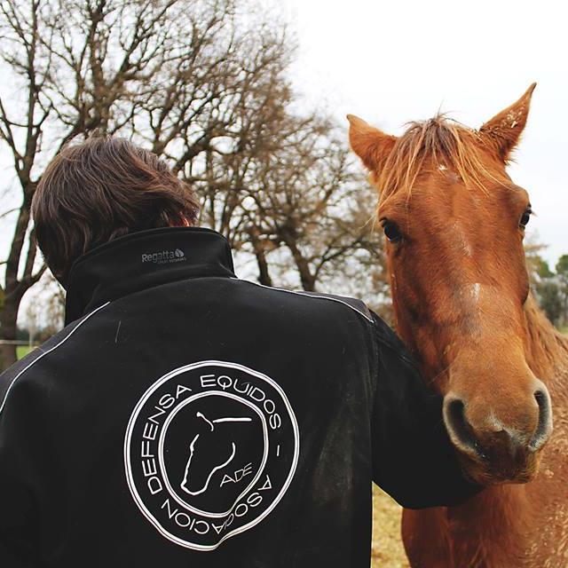 ade_Aldu's profile picture. 