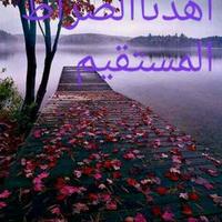 أتابع كل ماهوراقي (@wafabasil7) 's Twitter Profile