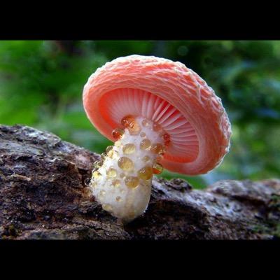 Eddy5755's profile picture. 