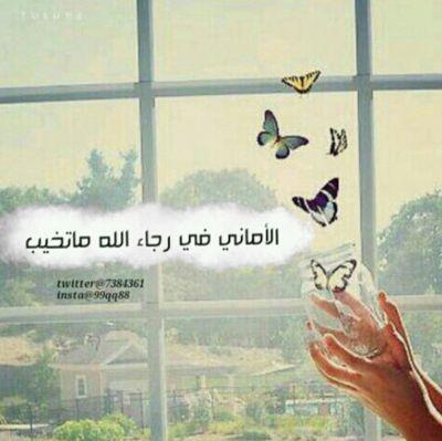 ‏‏‏‏‏يارب حسن الحياه وحسن الرحيل
