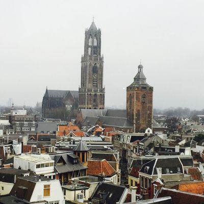 danivanrossum's profile picture. 