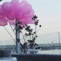ℳỎỎЙ♥ (@qwe222231) Twitter profile photo