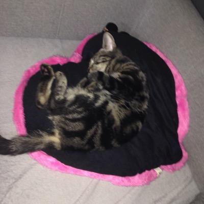 jordan_dewilde's profile picture. 