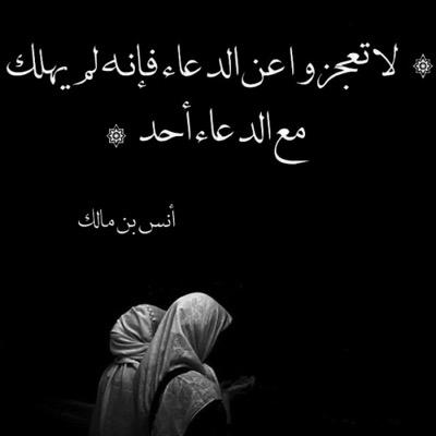 talabst's profile picture. 