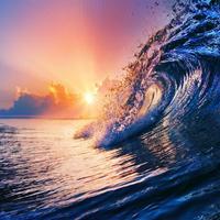 mudar alsaqqaf (@alsaqqafmudar) 's Twitter Profile