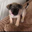 Isla Mai Moore - @isla_mai - Twitter