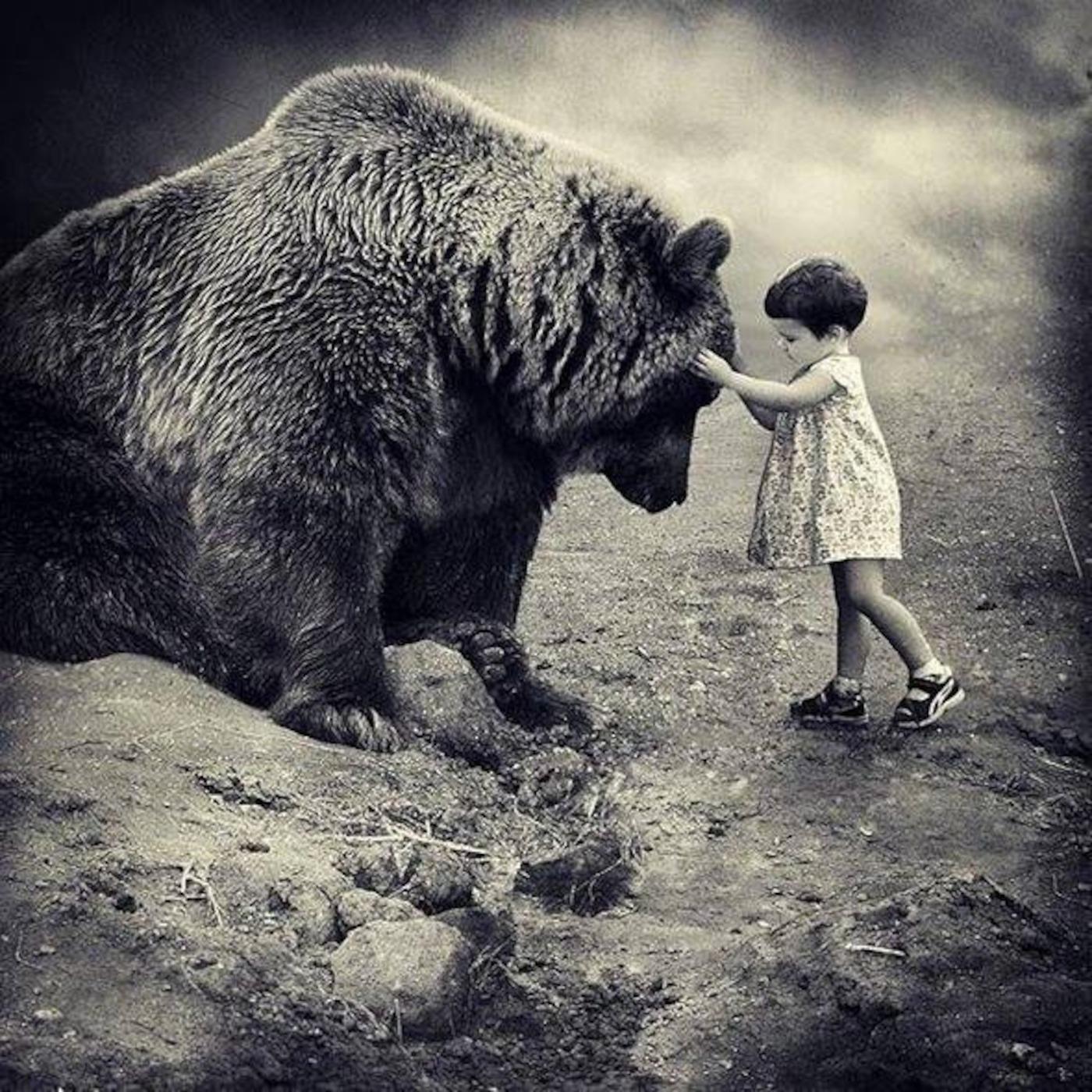 tobehumans's profile picture. Changing humanity, one human at a time