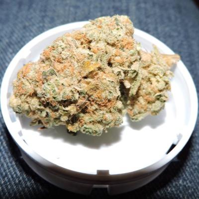 livenudeweed's profile picture. You already know!!
Like our Facebook page 
http://t.co/vLvP28R1vN