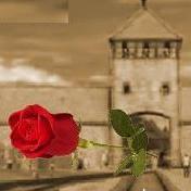 Het is onze opdracht om de kennis over Auschwitz en de geschiedenis van de Holocaust te verspreiden. Bezoek Auschwitz-Birkenau met Nederlandstalige gids !