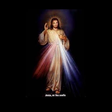 formandoelsaber's profile picture. 