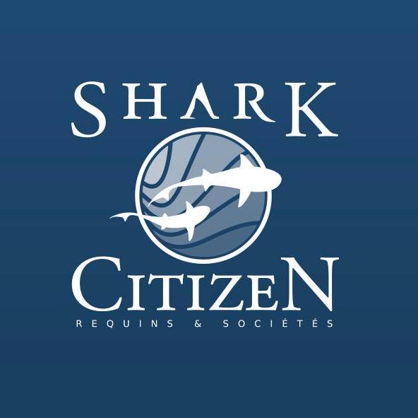 L'association Shark Citizen rassemble des militants passionnés par le monde marin et œuvrant pour la protection des requins #Réunion #Mayotte