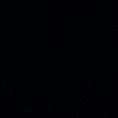 Lucy_Hofmann's profile picture. 