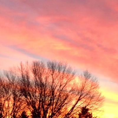 TagStephenson's profile picture. 