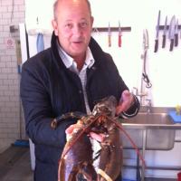 TheChelseaFishmonger(@rexgoldsmith) 's Twitter Profile Photo