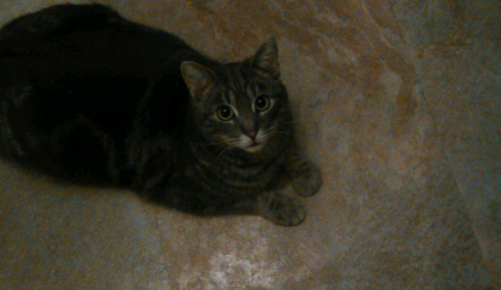 Cmiles19's profile picture. 