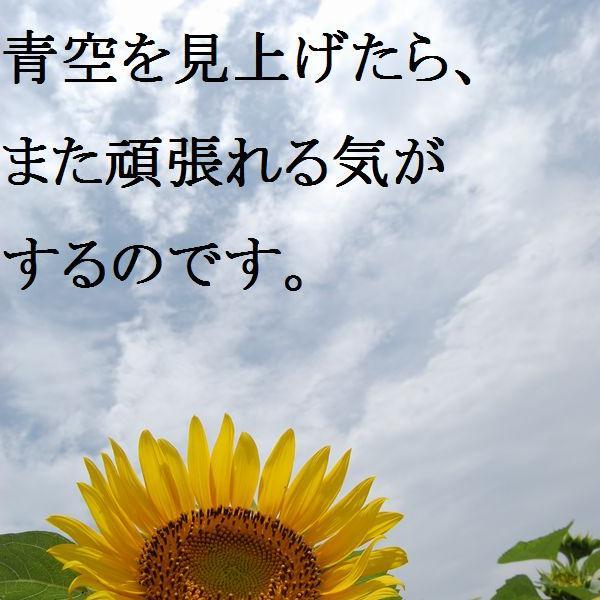 日常生活での癒しを求めるため名言を探してます☺︎ 皆さん教えてくださーい( ^ω^ )