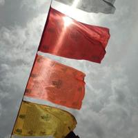Grey (@gempati) 's Twitter Profile Photo
