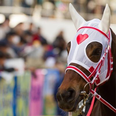 ミルファーム清水 ご報告 ミナレットは近々jra登録を 抹消する予定です 本馬は5 1の前走後 北海道に移動しモンテロッソを交配 無事に受胎しました 皆様にはこれ迄 沢山の応援をいただき心から感謝して います 本当に有難うございました 最後は