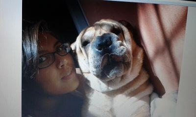 Joekaths's profile picture. Publicista.