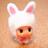 ishukushooo's profile image