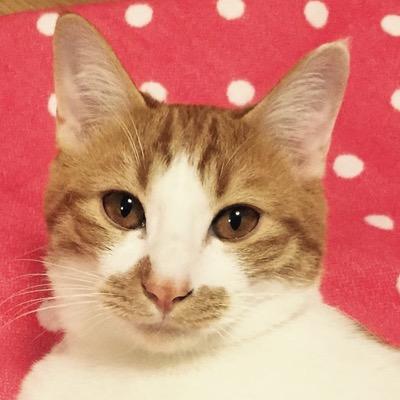 御坂美琴、シルバーリング、時計、パワーストーンブレス作り、、、、、最近ネコ好きなベジタリアンです。ボルダリングにもハマっています。