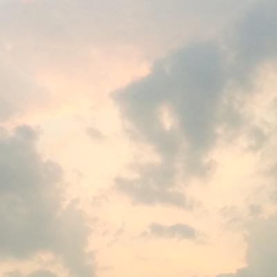 色々呟きます！！ 気楽にフォローしてください（￣+ー￣） 共感した人とかもフォローよろしく‼︎‼︎ 現役高校生です‼︎ エロいこと好き、まだまだ経験未熟 暇してるんでDMとか飛ばして‼︎‼︎