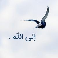 والأنس كل الأنس بالله☁️ ོ