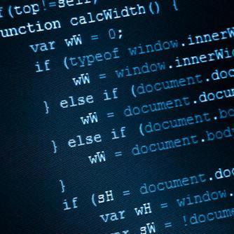 Professional Web Developer