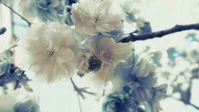 AlaaEbrahrm's profile picture. 