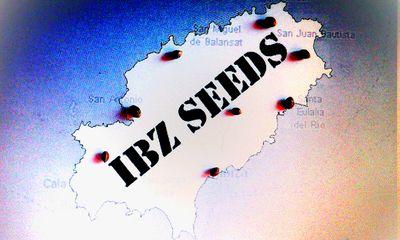 IBZseeds is a new brand in the marihuana seeds sector. You will find it in your nearest growshop very soon.