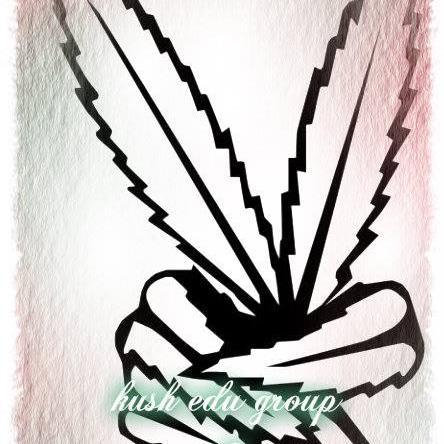 kushedugroup's profile picture. Kush Edu Group & Computer Education Systems