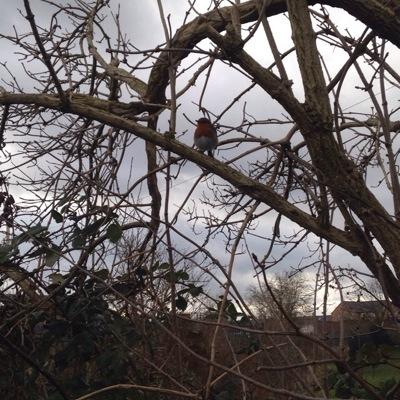 JPOMuireasa's profile picture. 