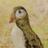 pete_stamper's profile image