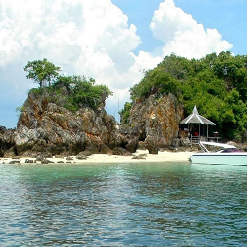 Orepef1969's profile picture. Не ем перед телевизором после того, как вместо упавшего кусочка шоколада положил в рот и разжевал какашку своей морской свинки.