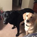 Beth Gibson - @gibson_momma - Twitter