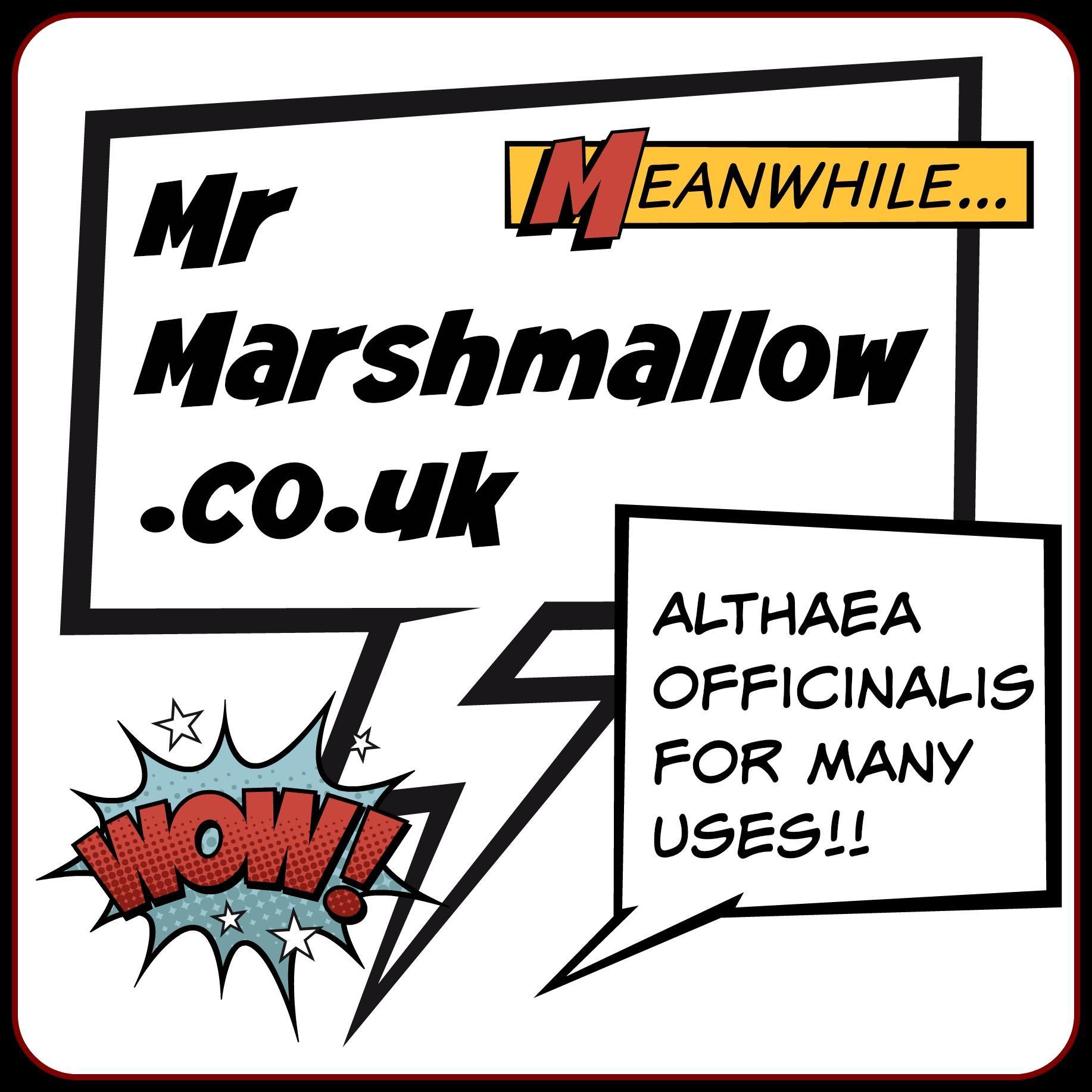 _MrMarshmallow's profile picture. Marshmallow Leaf for all uses. We don't ask questions.. We just sell Marshmallow Leaf!