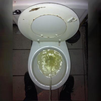 I've got no money and I smell like shit.