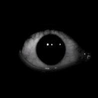 D_Angelgabz's profile picture. I do not take NONSENSE!

Socialearning username ( Theangelgabz )