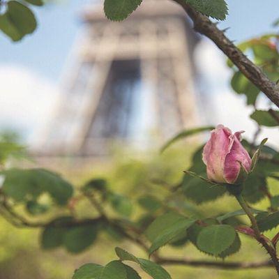 medovsmemo's profile picture. 