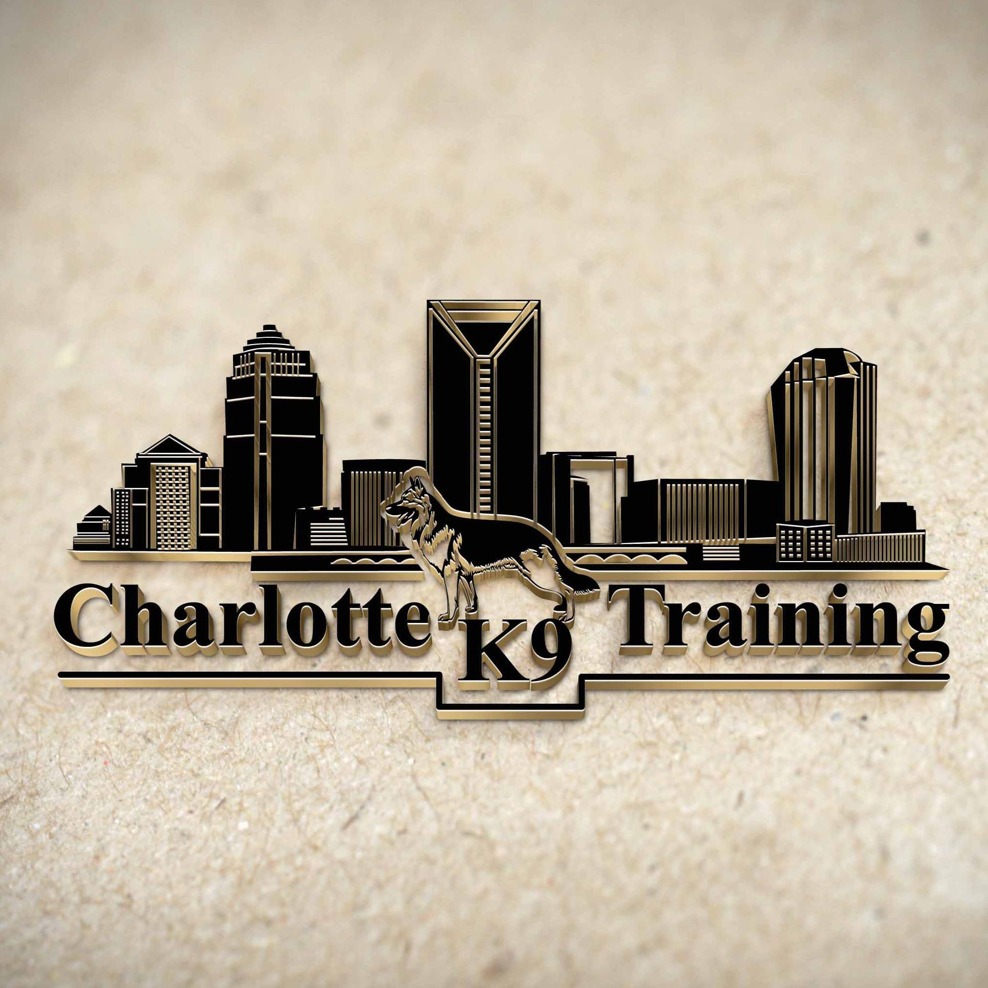 Our programs include:
Puppy Management
Basic and Advanced Obedience
Behavior Modification
Aggressive Dog Training  personal protection dogs
