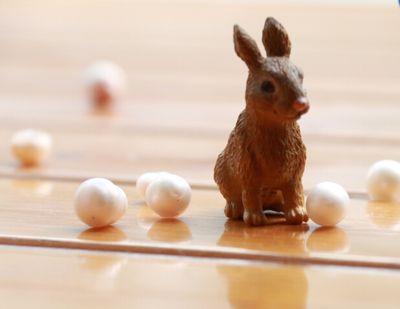 XKyokyo's profile picture. 