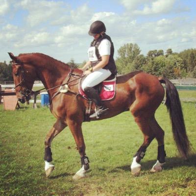 CPEventing's profile picture. 20yr old eventer from Canada. Currently based in Aiken, SC training with Michele Mueller! Horse: Jaxon aka All Jacked Up 5yr old clyde/tb/hackney