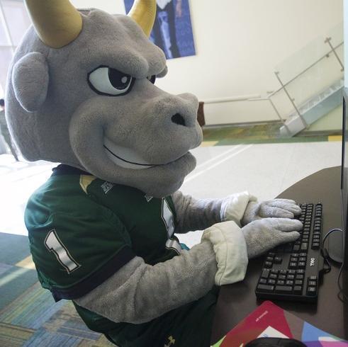 This account is inactive. Please follow @USF_ATprogram for all USF athletic training program updates!