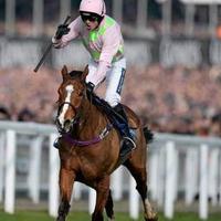 Jack McCarthy (@jackdmac13) 's Twitter Profile