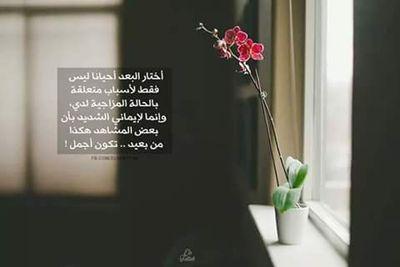 RAljihaoui's profile picture. 