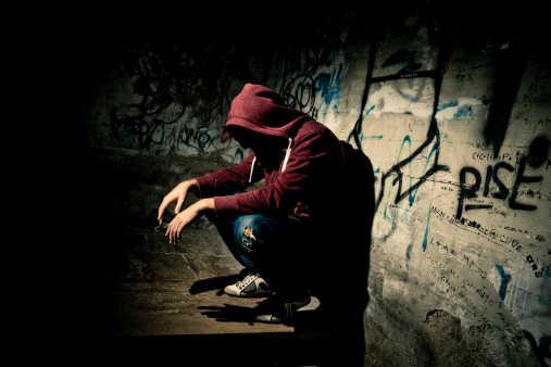 stefanimaya34's profile picture. Fun