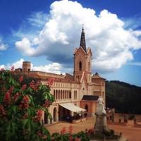 Sant Pere Del Bosc (@santperedelbosc) 's Twitter Profile
